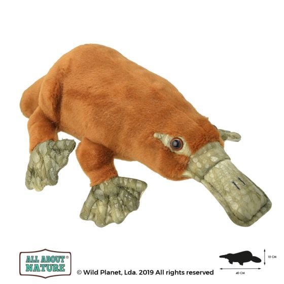 All About Nature 40cm Platypus Plush